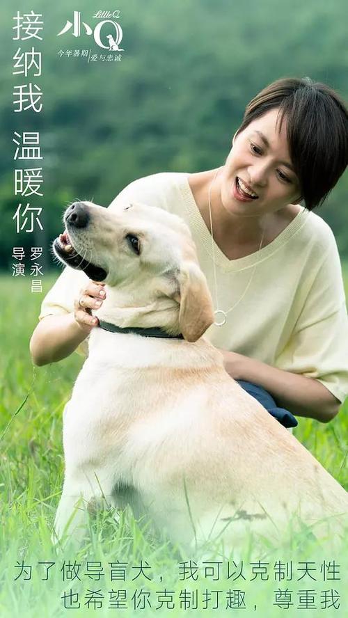 维诺纳州立大学Marketing Degree Certificate